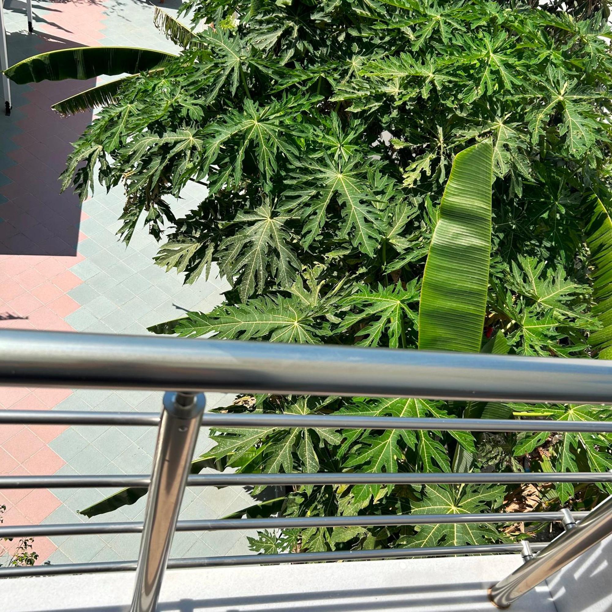 Sea Breeze Hotel มัสติคารี ภายนอก รูปภาพ